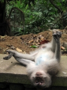 Ananda Balasana - Happy monkey pose