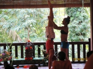 Yoga Beyond Handstand Workshop